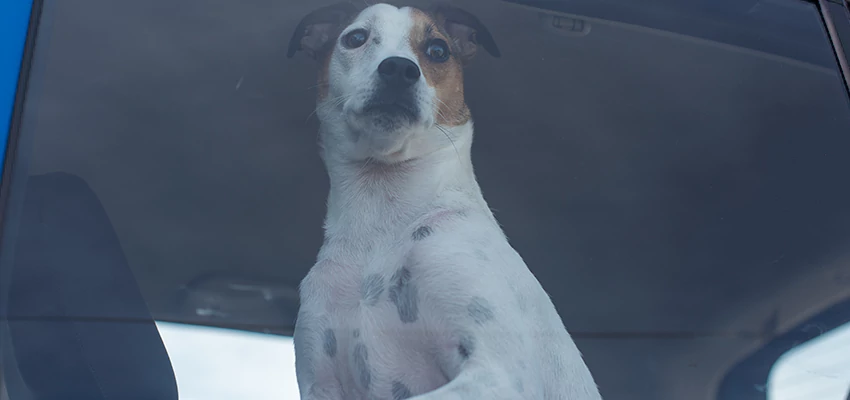 Car Lockout Solutions in Madera, California